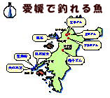 愛媛の釣り場紹介